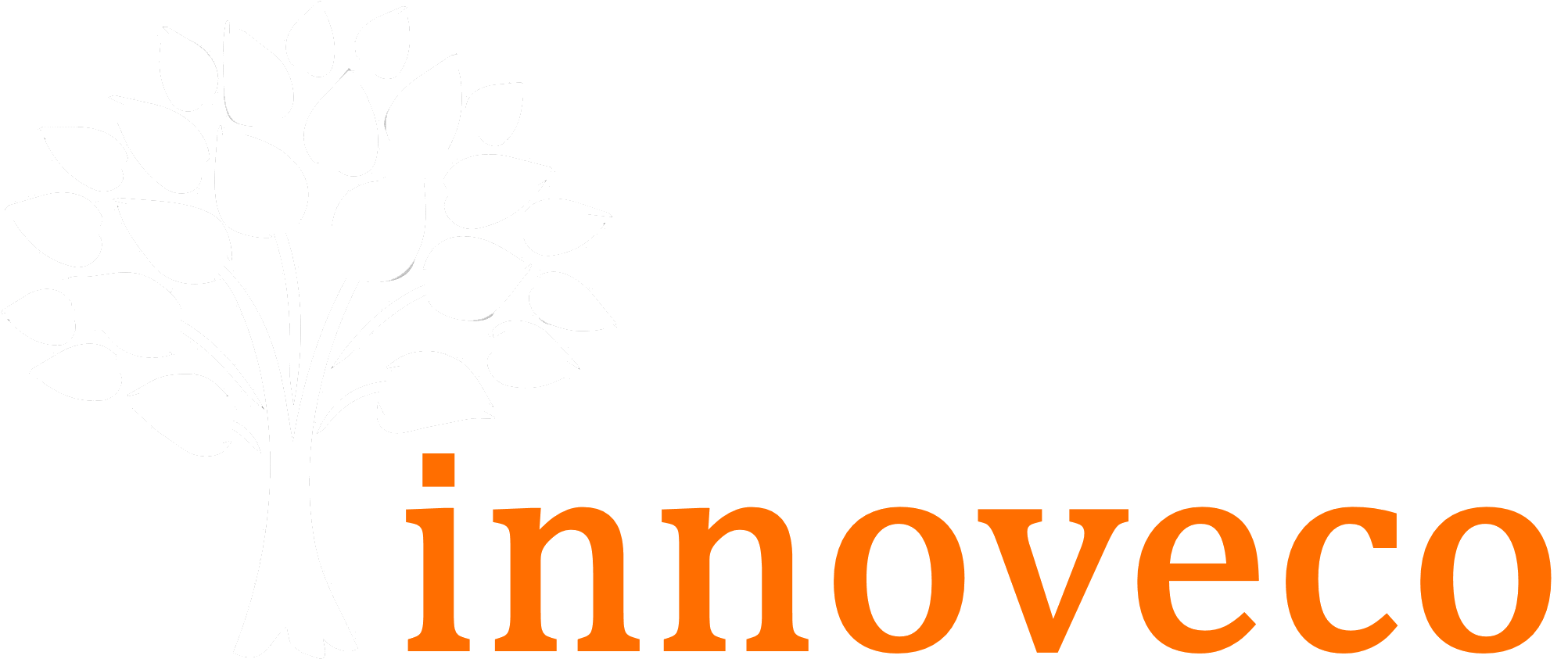 INNOVECO | consulting services